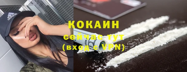 прущие грибы Михайловск