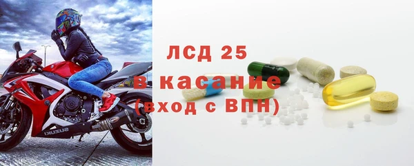 прущие грибы Михайловск