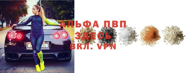 прущие грибы Наволоки