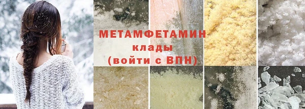прущие грибы Михайловск
