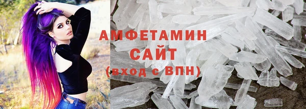 прущие грибы Наволоки