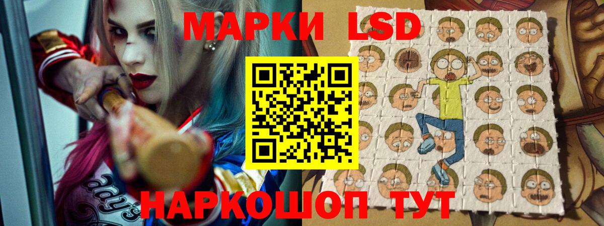 Нововоронеж  Лсд 25 экстази  Вход с VPN  LSD-25 экстази ecstasy  LSD-25 экстази ecstasy 